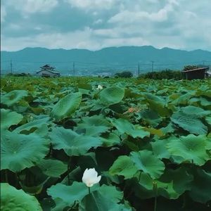 Meet your Posher, Danyelle